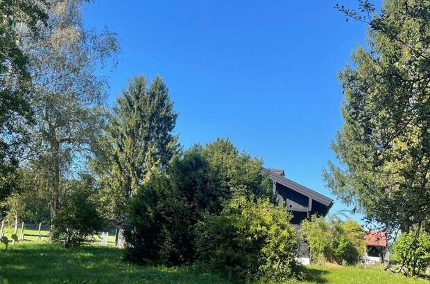 Haus kaufen in 5112 Lamprechtshausen (Bild 5)