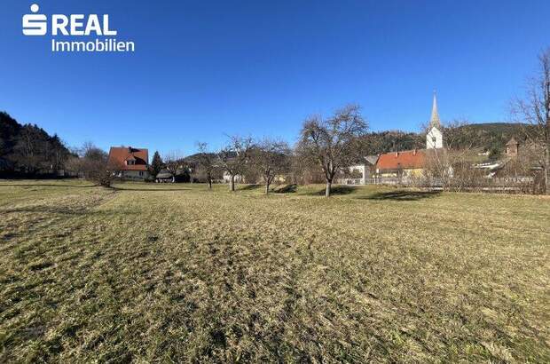 Grundstück kaufen in 9361 St. Salvator (Bild 2)