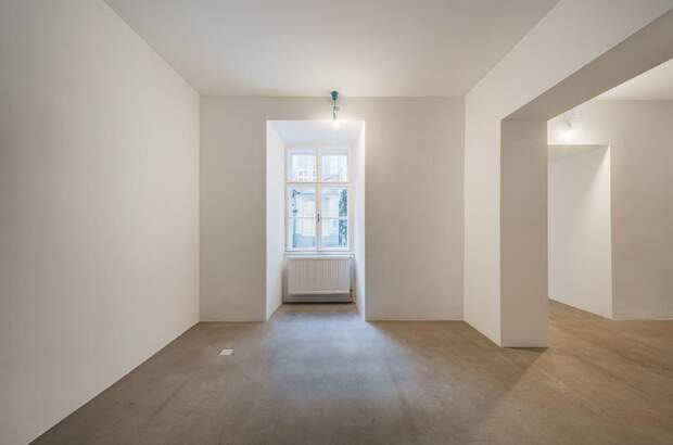 Gewerbeobjekt mieten in 1010 Wien (Bild 1)