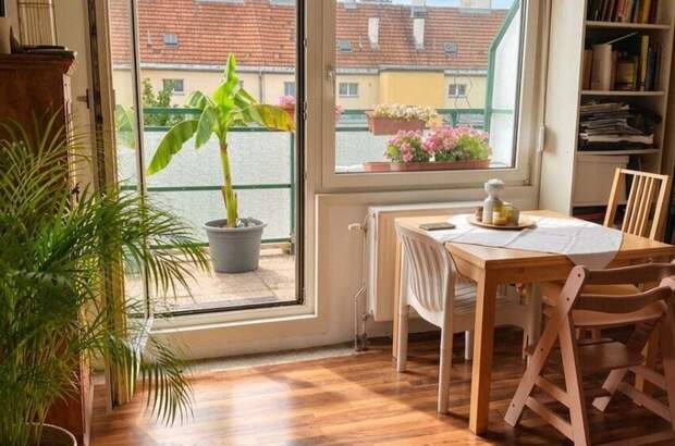Wohnung kaufen in 1210 Wien (Bild 3)