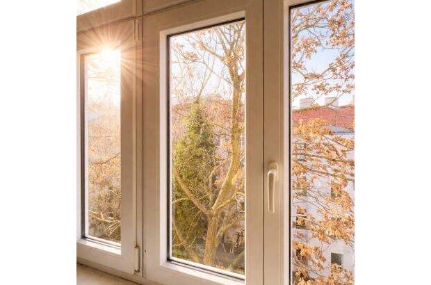Wohnung kaufen in 1100 Wien (Bild 4)