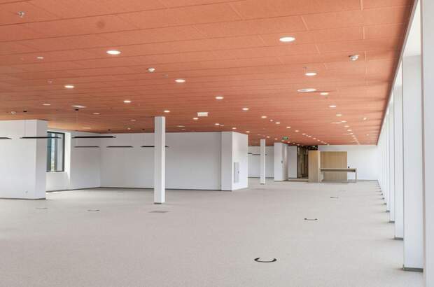 Gewerbeobjekt mieten in 6922 Wolfurt (Bild 3)