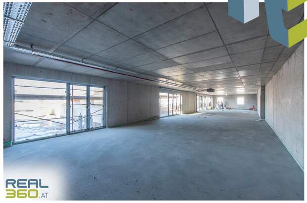 Büro / Praxis mieten in 4150 Rohrbach (Bild 5)