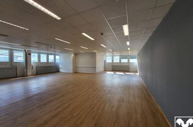 Gewerbeobjekt mieten in 4050 Traun (Bild 1)