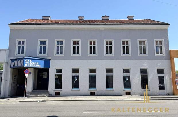 Anlageobjekt kaufen in 1230 Wien (Bild 2)