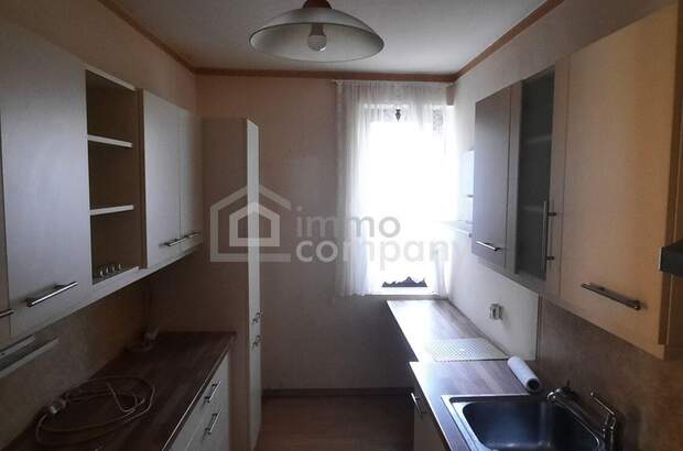 Haus mit Garten kaufen in 2486 Pottendorf (Bild 5)