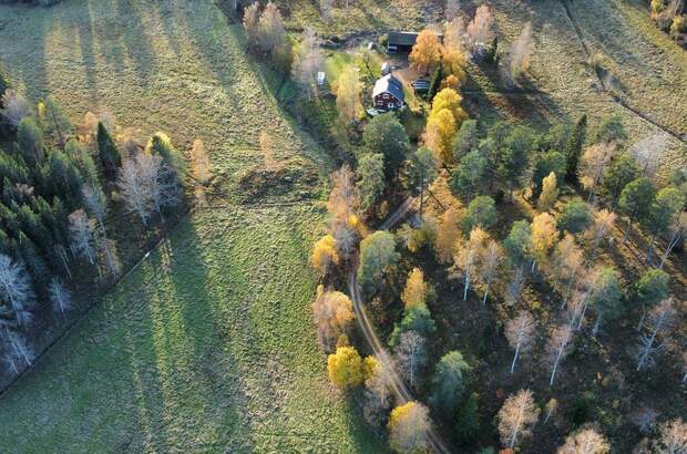 Haus mit Garten kaufen (Bild 3)