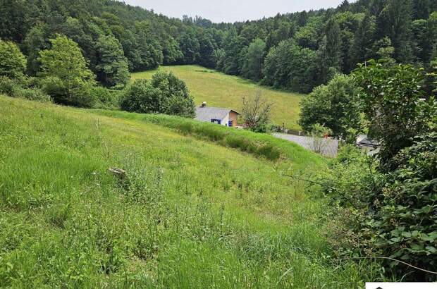 Grundstück kaufen in 8075 Hart (Bild 1)