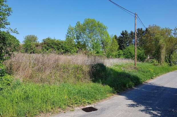 Grundstück kaufen in 3701 Großwiesendorf (Bild 3)