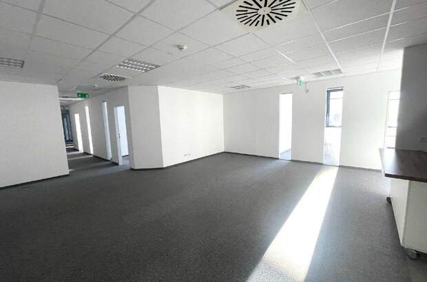 Gewerbeobjekt mieten in 1020 Wien (Bild 5)