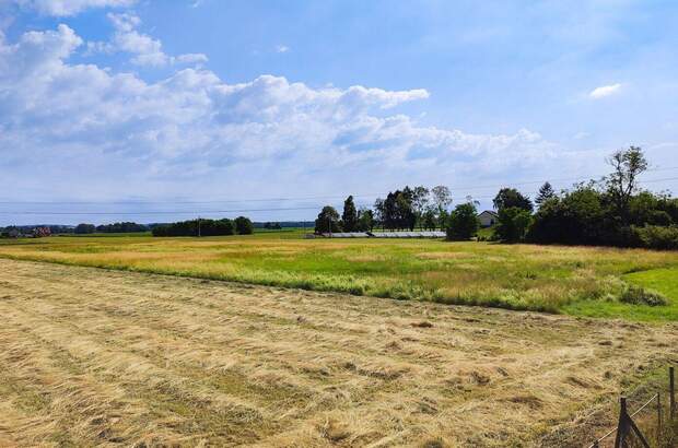 Haus mit Garten kaufen in 8490 Bad Radkersburg (Bild 5)
