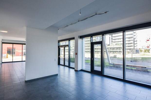 Gewerbeobjekt mieten in 1220 Wien (Bild 3)