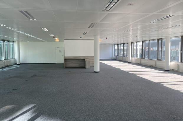 Gewerbeobjekt mieten in 1110 Wien (Bild 2)