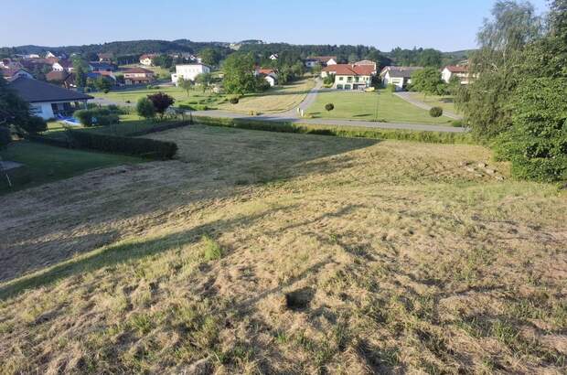 Grundstück kaufen in 7425 Wiesfleck (Bild 3)