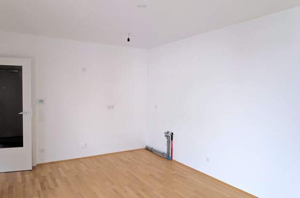 Wohnung mit Balkon kaufen in 1230 Wien (Bild 3)