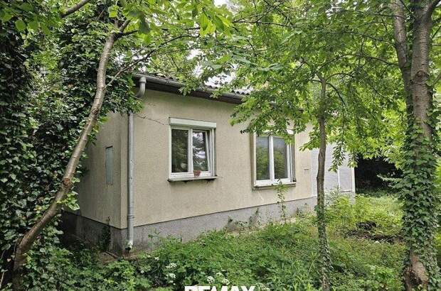 Einfamilienhaus kaufen in 2440 Mitterndorf (Bild 4)