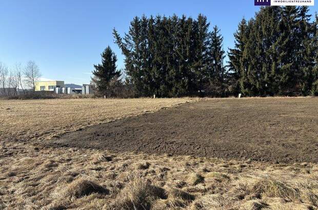 Grundstück kaufen in 8402 Werndorf (Bild 2)