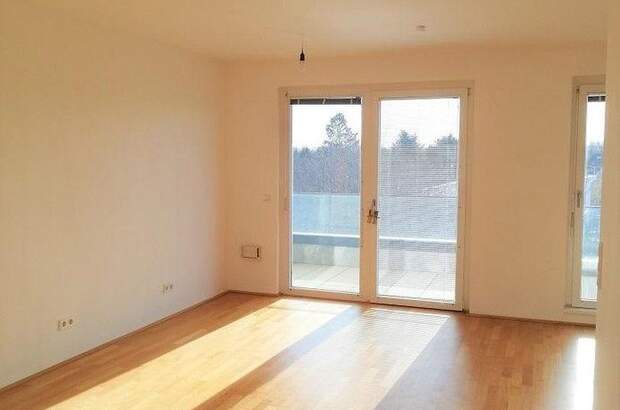 Terrassenwohnung mieten in 1220 Wien (Bild 3)