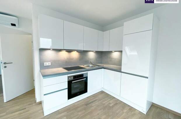 Terrassenwohnung mieten in 1220 Wien (Bild 2)