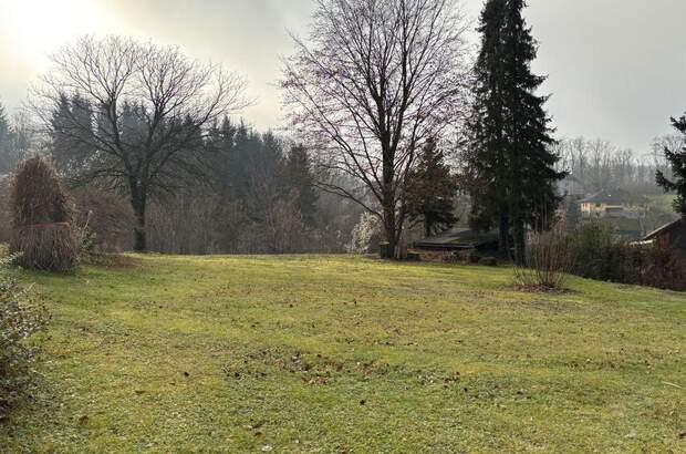 Grundstück kaufen in 4225 Luftenberg