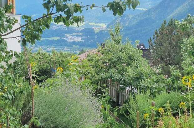 Haus mit Garten kaufen in 6460 Imst (Bild 4)