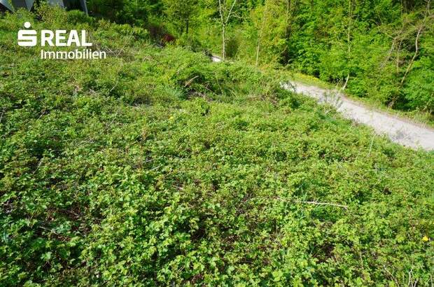 Grundstück kaufen in 3033 Altlengbach (Bild 5)