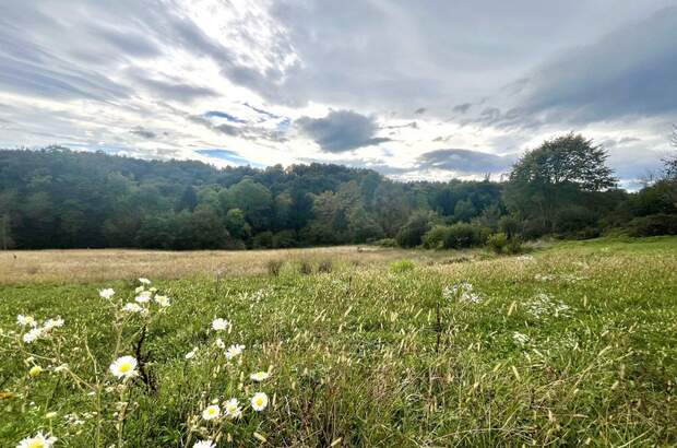 Grundstück kaufen in 8430 Leibnitz (Bild 2)