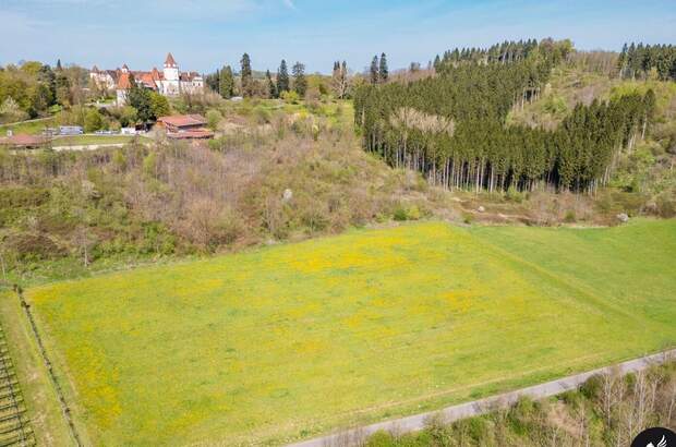 Gewerbeobjekt kaufen in 8333 Riegersburg (Bild 2)