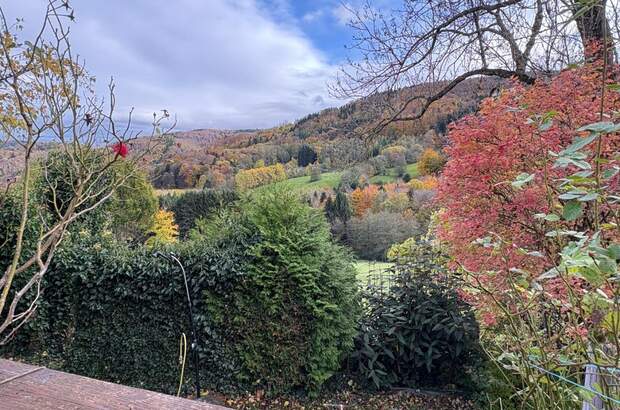 Einfamilienhaus kaufen in 3053 Laaben (Bild 4)