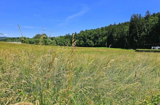 Grundstück kaufen in 8570 Voitsberg (Bild 3)