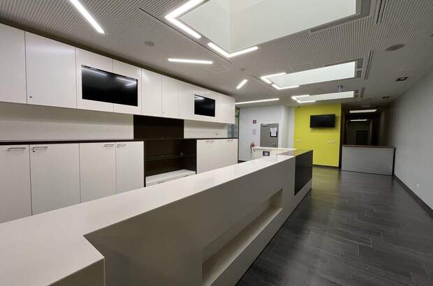 Gewerbeobjekt mieten in 2320 Schwechat (Bild 2)