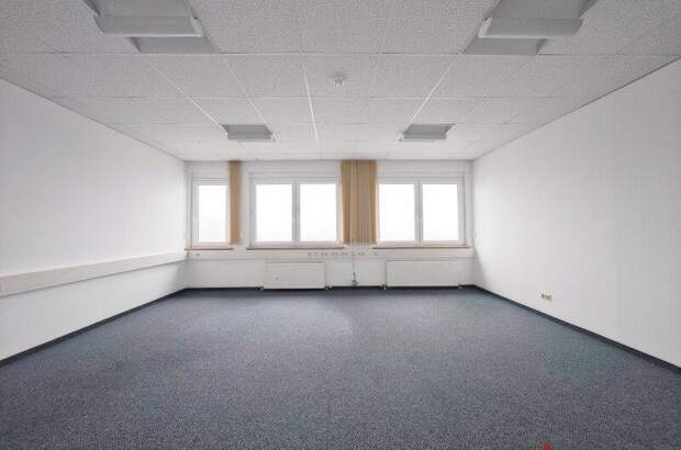 Büro / Praxis mieten in 2351 Wr. Neudorf (Bild 2)