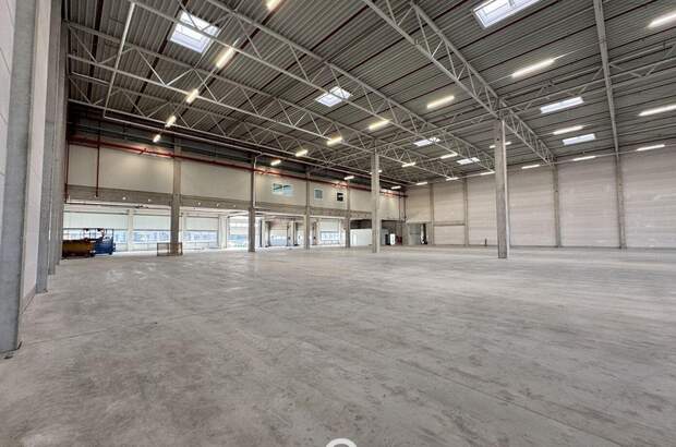 Gewerbeobjekt mieten in 4470 Enns (Bild 3)