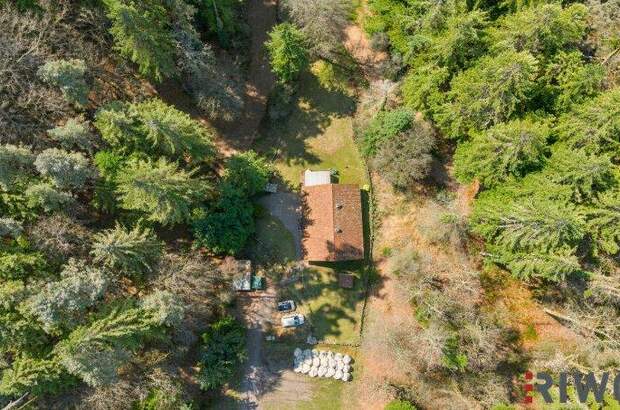 Einfamilienhaus kaufen in 2831 Warth (Bild 3)