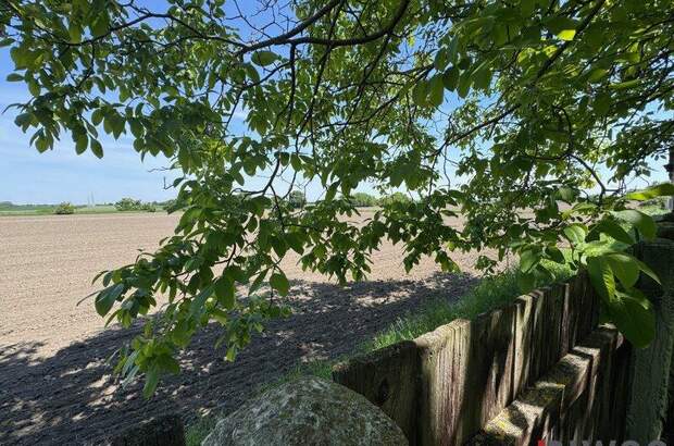 Einfamilienhaus kaufen in 2331 Vösendorf (Bild 2)