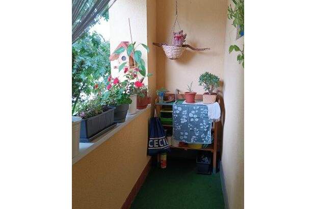 Terrassenwohnung mieten in 4400 Steyr (Bild 2)