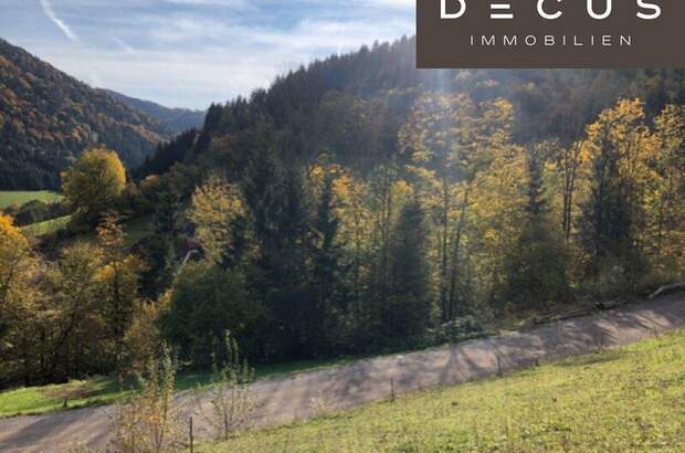 Grundstück kaufen in 3211 Loich (Bild 5)