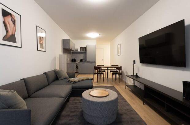 Terrassenwohnung mieten in 1010 Wien (Bild 2)