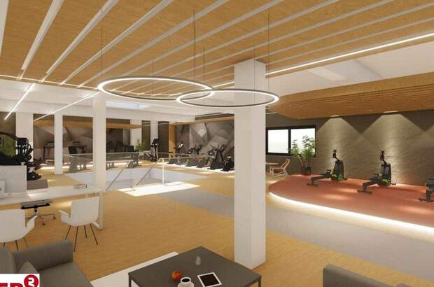 Gewerbeobjekt mieten in 1230 Wien (Bild 5)