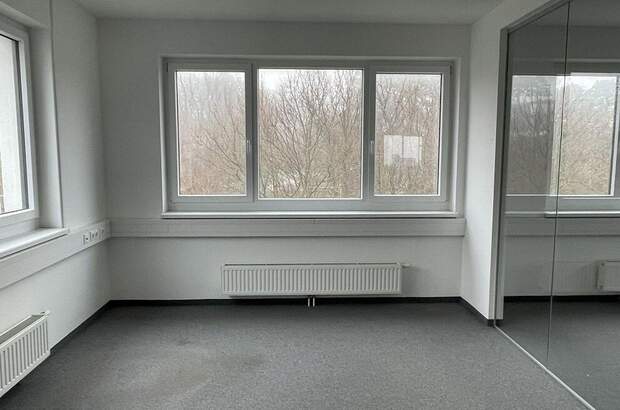 Gewerbeobjekt mieten in 2372 Gießhübl (Bild 5)