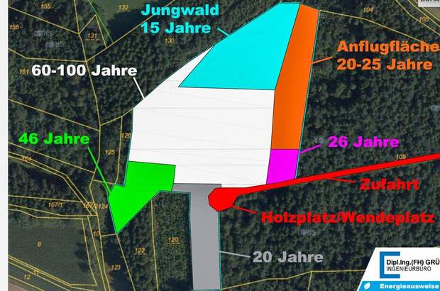 Gewerbeobjekt kaufen in 4761 Enzenkirchen (Bild 5)
