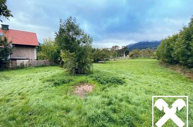 Grundstück kaufen in 2733 Grünbach (Bild 3)