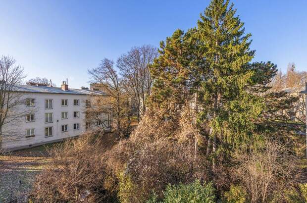 Gewerbeobjekt mieten in 1190 Wien (Bild 4)