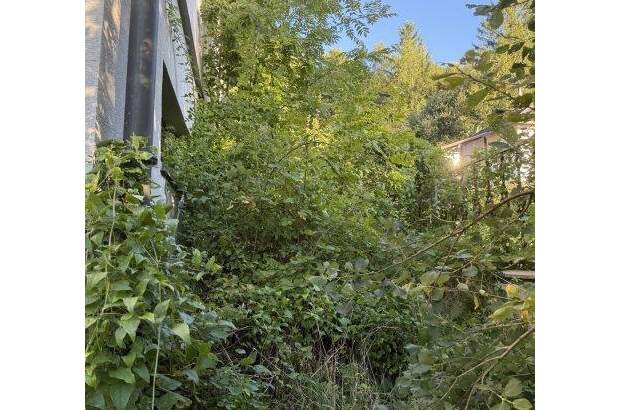 Grundstück kaufen in 3012 Wolfsgraben (Bild 4)