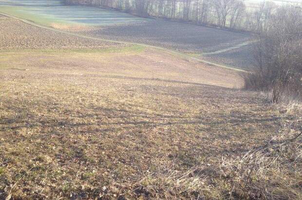 Grundstück kaufen in 8044 Graz