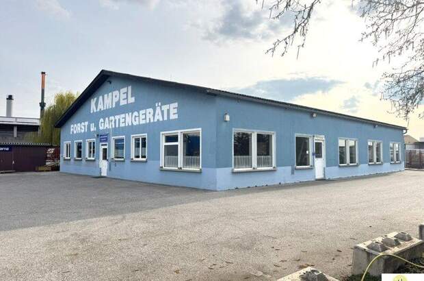 Lager kaufen in 2460 Bruck an der Leitha (Bild 3)