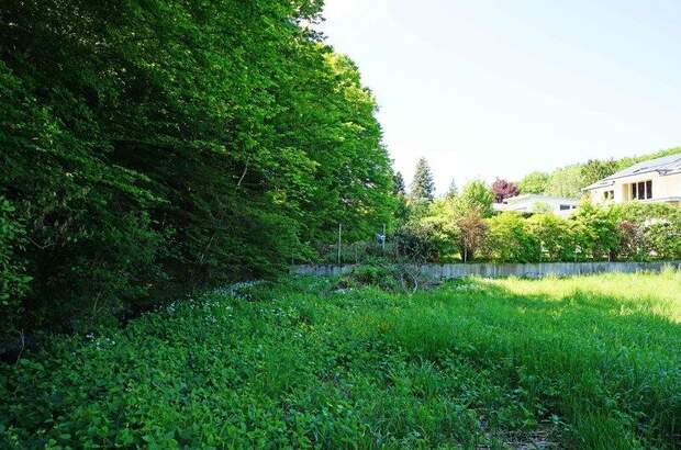 Grundstück kaufen in 2384 Breitenfurt (Bild 5)