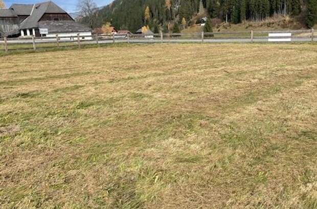 Haus kaufen in 8850 Laßnitz (Bild 5)