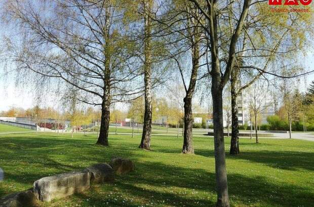 Wohnung mieten in 4020 Linz (Bild 1)