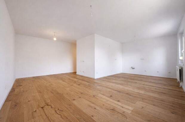 Wohnung mieten in 2540 Bad Vöslau (Bild 5)